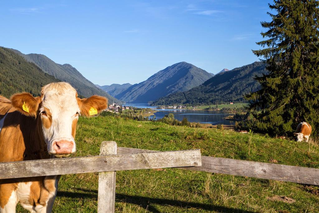 Ferienwohnung Haus Kalt Weissensee Exterior foto